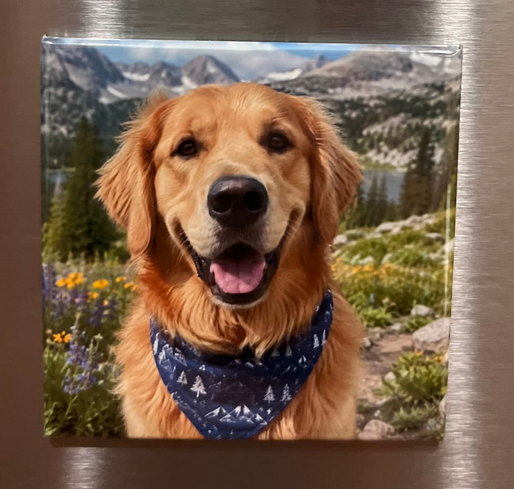 Individual Photo Magnet 2